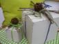 Preview: Geschenke - Box "Merry X-Mas"