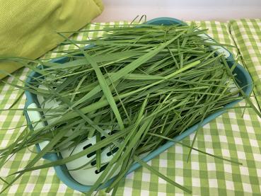 Preview: Grünfutter Tablett