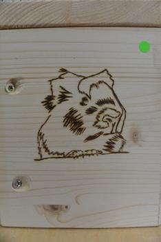 Brandmalbild "Collin"