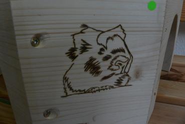 Brandmalbild "Collin"