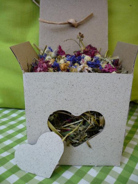 Kleine Schredderbox