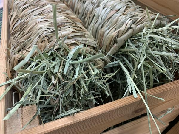 XL Gras - Schredderrolle