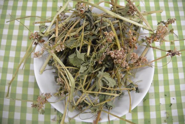 Buchweizenkraut mit Blüten 350 g