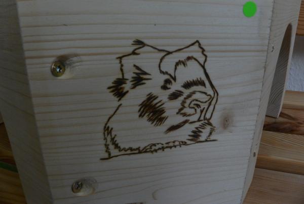 Brandmalbild "Collin"